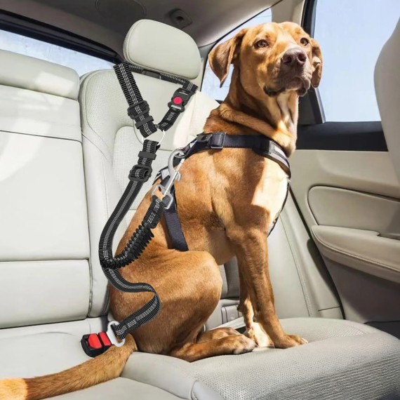 Cinto de Segurança Duplo para Cães